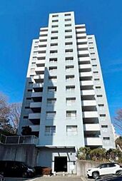 ビュータワーズ向陽台3号棟 101