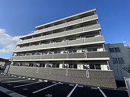 ヴィヴル　ミュウII 205