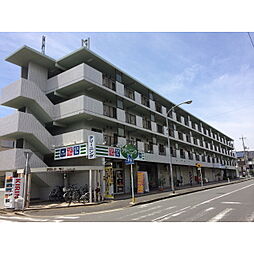 プラトゥモリ 408