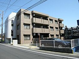 スタープラザ 203