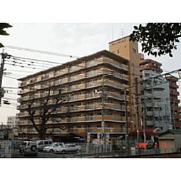 サンシャイン三上 101