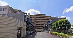 コスモステージひばりヶ丘アミュージア