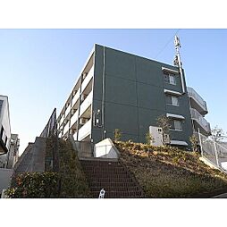 ビューコートQM 109