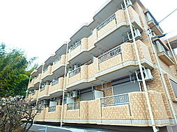 Belle colline　ベルコリーヌ 206