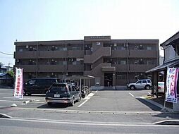 オリーブコート 205