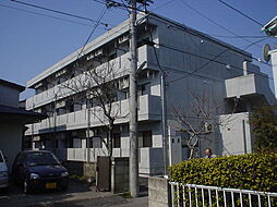 パークライフ 301