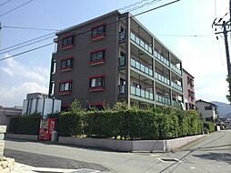 ベルビーアドニス 109