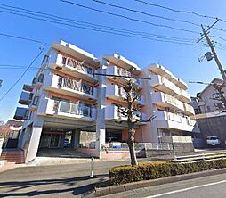 パステル八芳 101