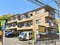 サントラピーヌ 303