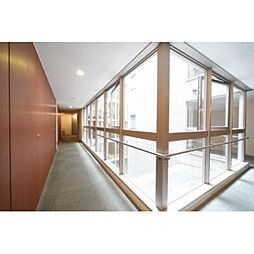 ガーデンコートＴ 503