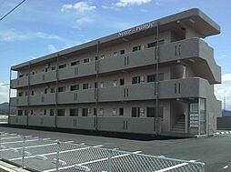 サワーオレンジ 202