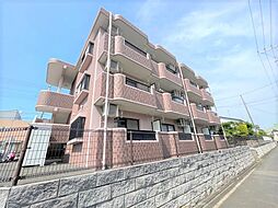 メイユールビジュ(Meilleur Bijou) 203