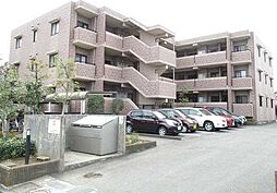 Salle de Verdure (セル デ ベルデュール) 106