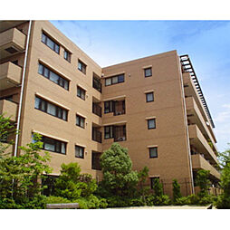 パーク・ハイム東芦屋町 304