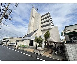 セグレスト平野 501
