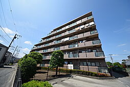 シャルマンドミール 502