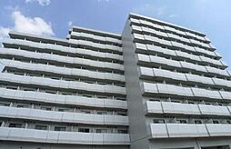 アレックス日乃本