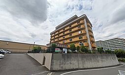 グリーンライト 503