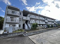 厚木国際飯山レジデンス C-202