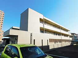 ウィステリア（水引2） 205