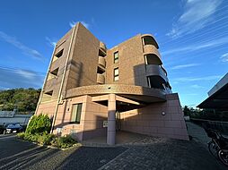 モデレイトシーズン 207