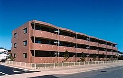 サンノーヴァ坂井東 203