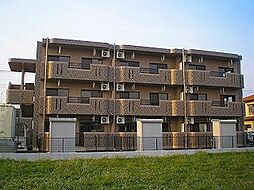 Ｙ＆Ｍアン・シャーリーＢ棟 202