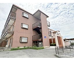 Ｓｈｅｌｌｅｙ’ｓ金剛 303