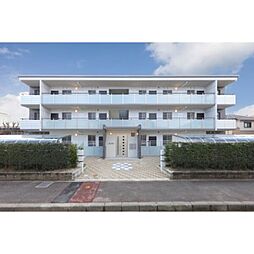 ヴァンヴィータ 303