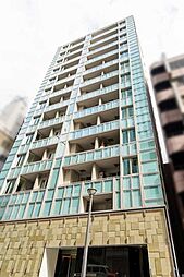 ミレアコート銀座プレミア 201