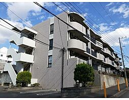 アルドーレ 芹沢