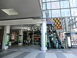 Ｆｌａｔ Ｓｅｄｕｍ