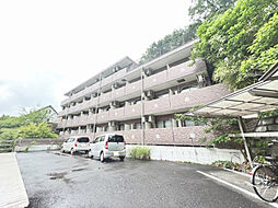 スターダスト晴貞 304