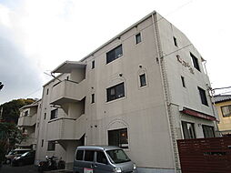 スターレンテル 304