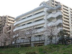 ホワイトシャトー清水弐番館 205