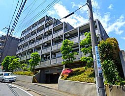 SOCIETY MIYAMAEDAIRA 208