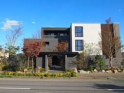 ルアナオヤマ 310