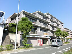 セントエミネンス 307