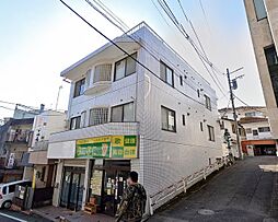 ペアフラリッシュ 201