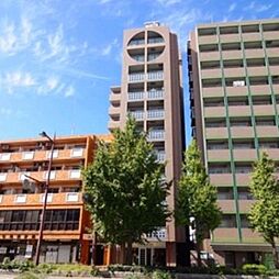 ダイナコートエスタディオ大濠公園 1006