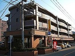 シーラ・プラッツ 203