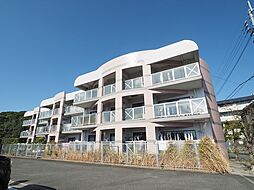 フローラル・アレイ 101