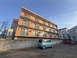 ピュアリティII 102