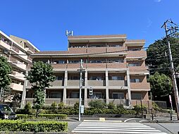 Cs 33 TAMACENTER 207