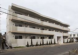 クーチャ　万願寺