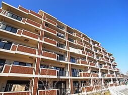 ベルフィオーレ