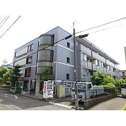 ピアレジアオヤマV