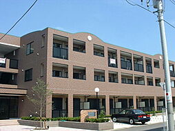 エレガンシアルーナ