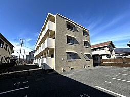 プラテリア 201