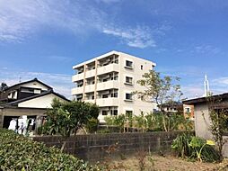 ＧＲＡＣＥ　ＣＯＵＲＴ　ＴＭＯ 101